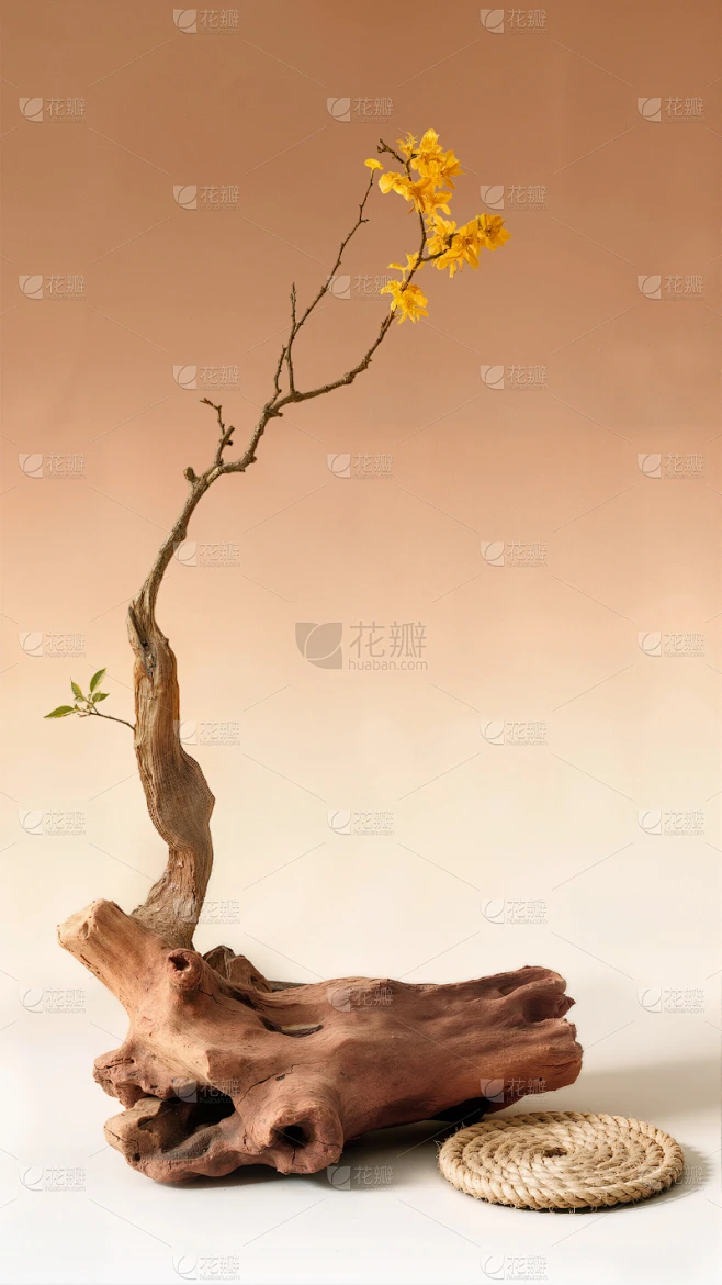枯木逢春：暖色静物摄影中的生命叙事与东方构图表达作品赏析-多模态AI