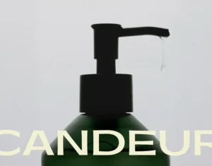 Behance 设计精选 | Candeur | Hair Care Brand Identity