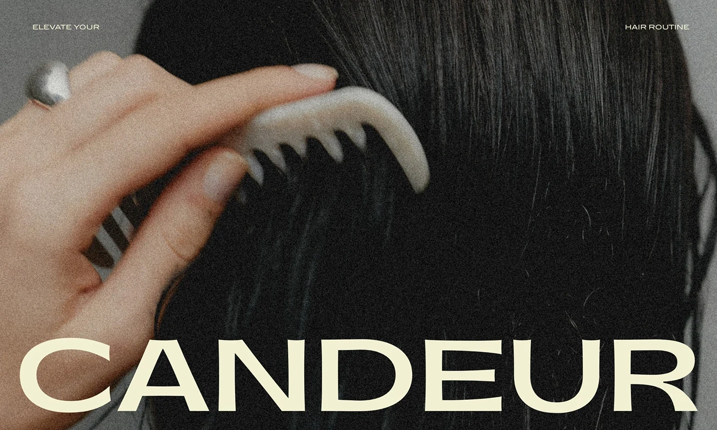 Behance 设计精选 | Candeur | Hair Care Brand Identity-多模态AI