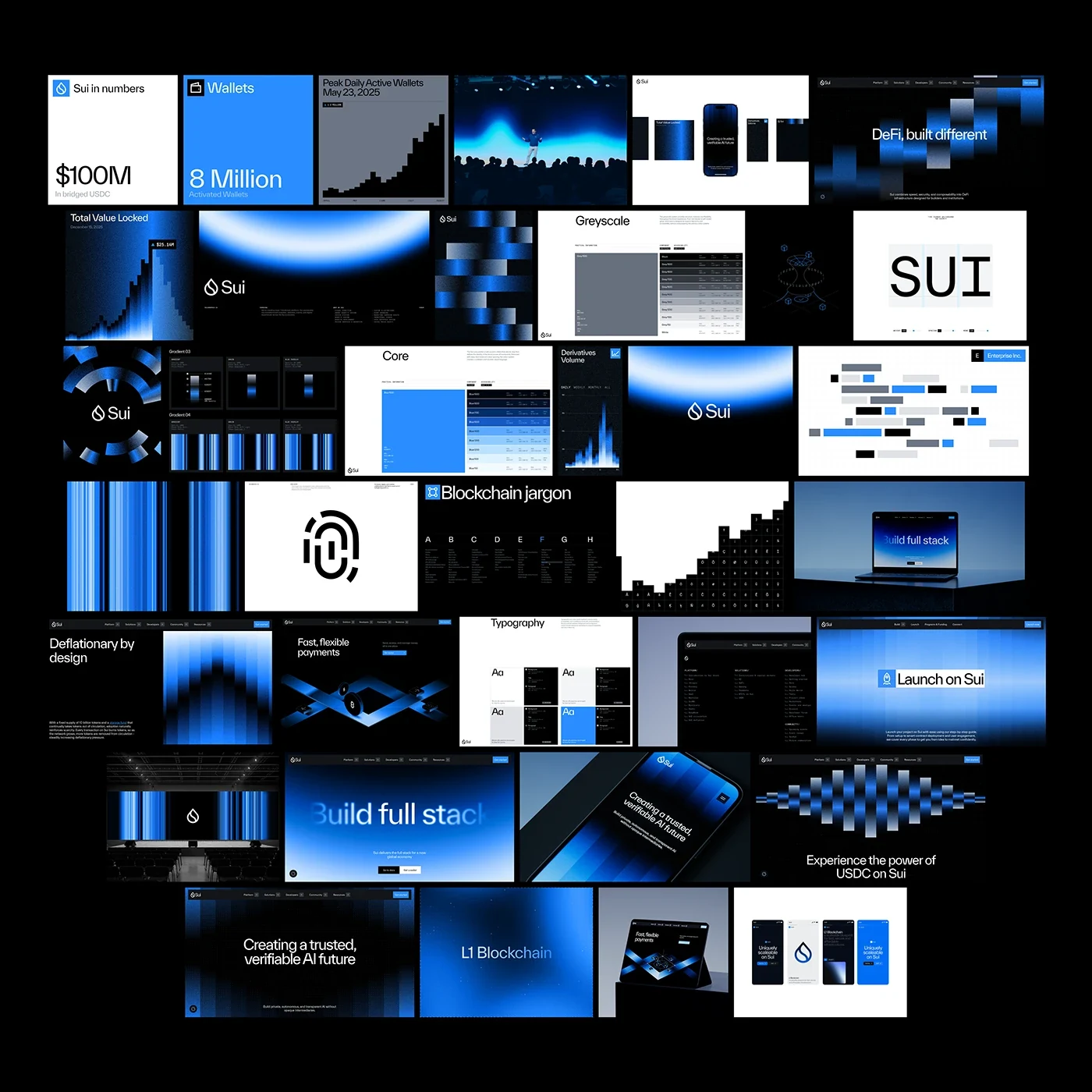 Behance 设计精选 | Sui - Brand Identity & Website-多模态AI