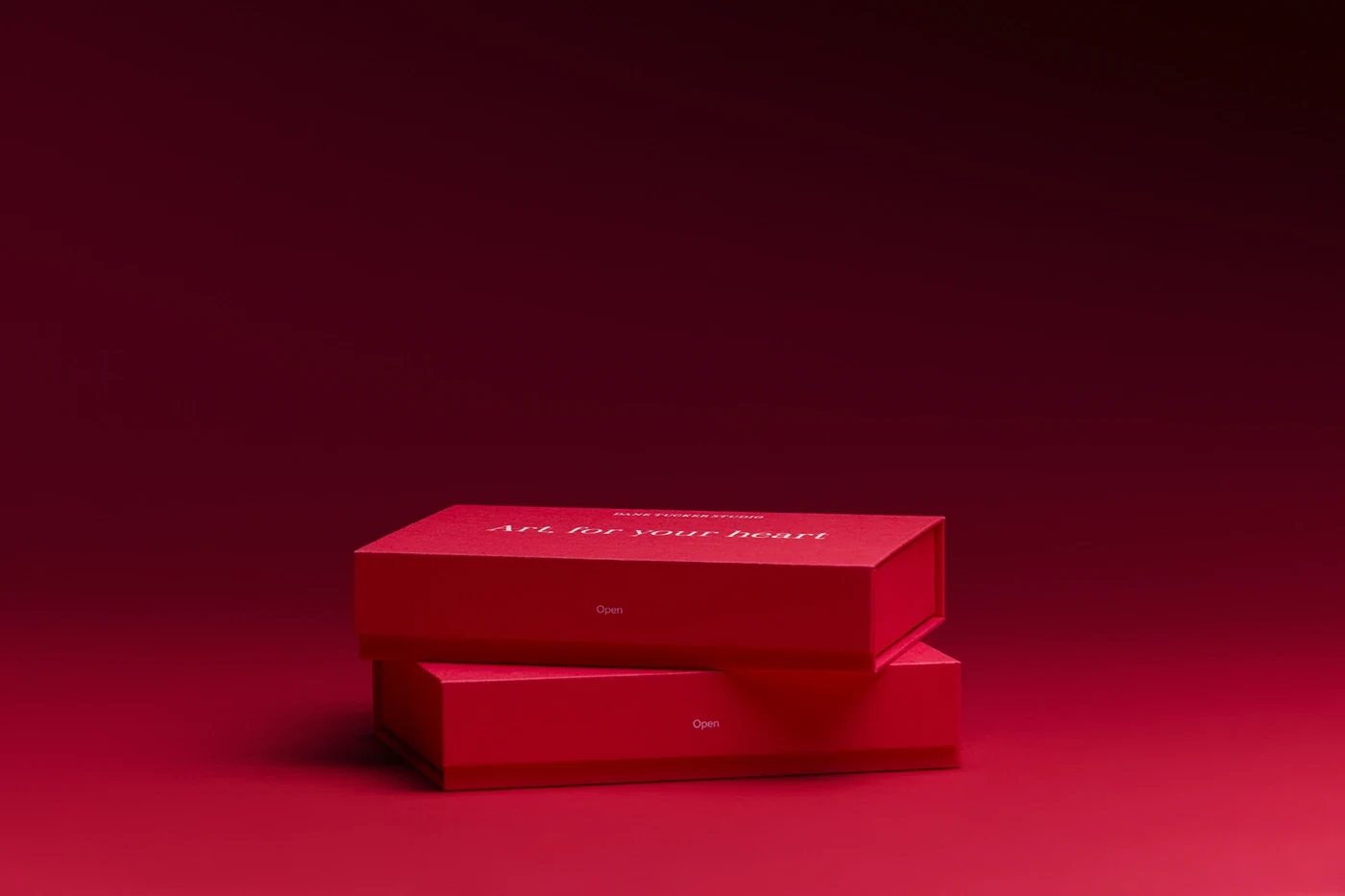 Behance 设计精选 | Dane Tucker-多模态AI