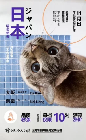 Pinterest 设计灵感 | 平面海报设计灵感