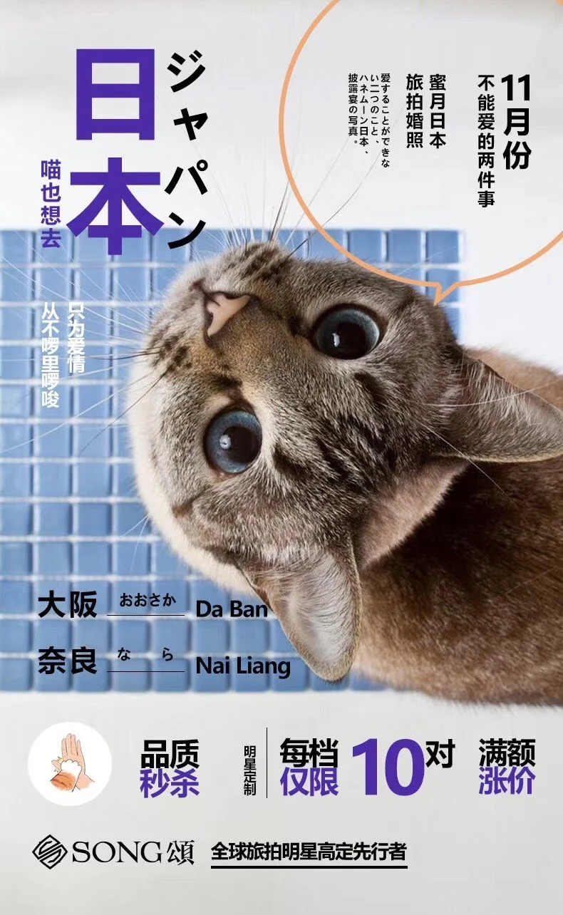 Pinterest 设计灵感 | 平面海报设计灵感-多模态AI