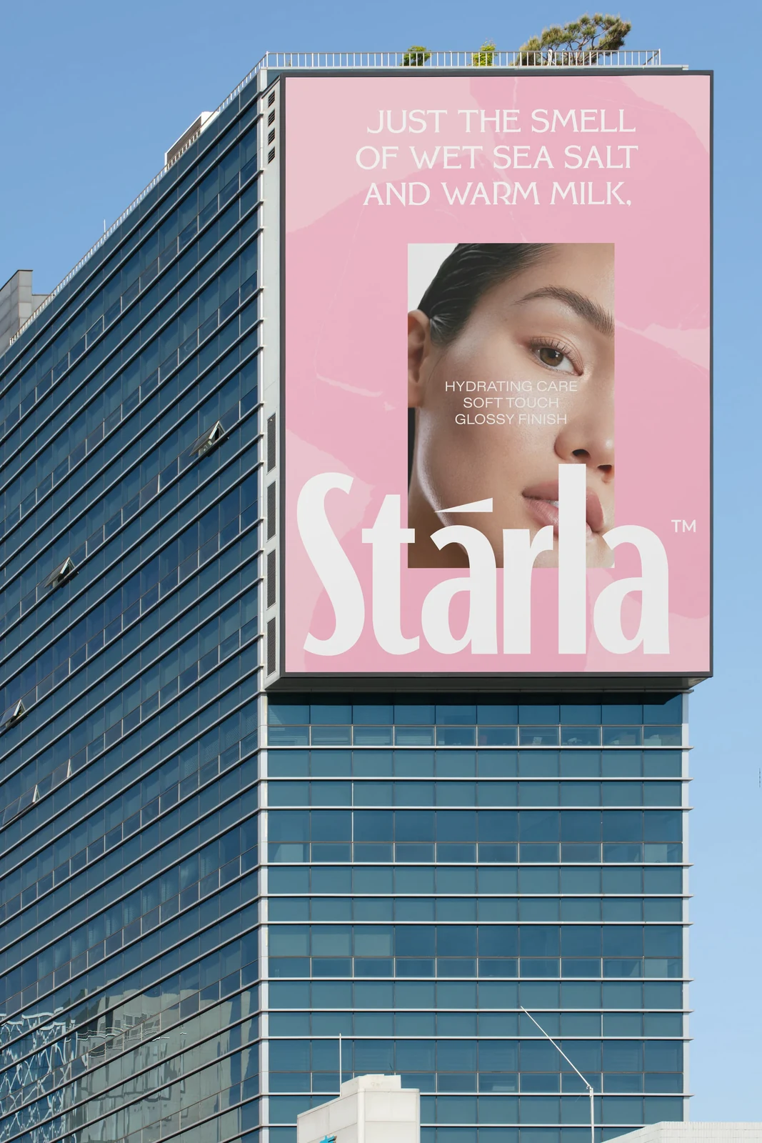 Behance 设计精选 | Starla - shampoo packing & logo design skincare brand-多模态AI