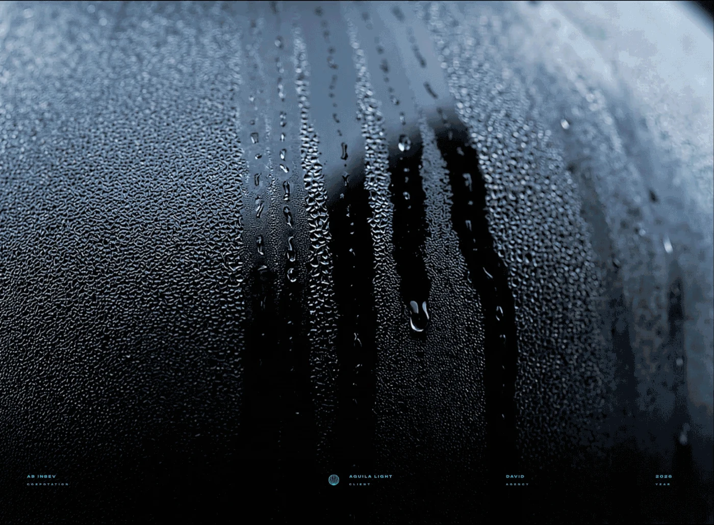 Behance 设计精选 | Icedentity - Aguila Light-多模态AI