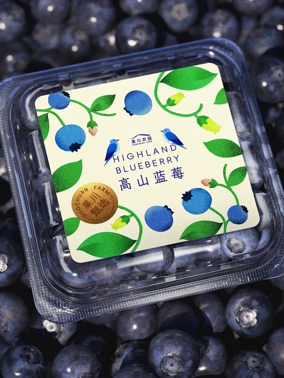 Behance 设计精选 | 「蓝莓礼盒」插画&包装设计-多模态AI