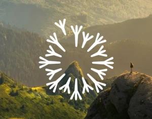 Behance 设计精选 | Demain C'est Nous
