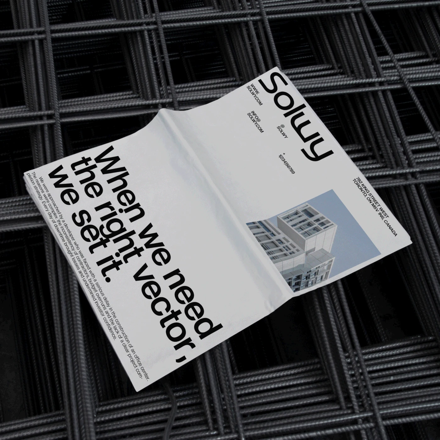Behance 设计精选 | Solwy | Consulting Brand Identity | Business, Company-多模态AI
