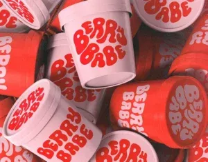 Behance 设计精选 | Brand Identity for Berry Babe Byron Bay Ice Cream