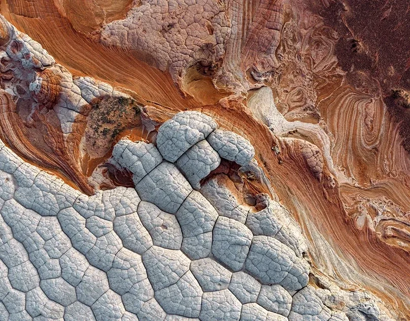 Behance 设计精选 | WHITE POCKET — Arizona, USA-多模态AI