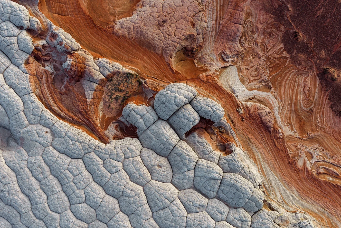 Behance 设计精选 | WHITE POCKET — Arizona, USA-多模态AI