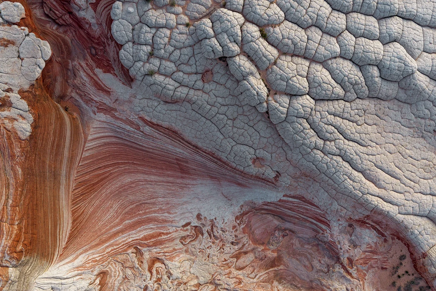 Behance 设计精选 | WHITE POCKET — Arizona, USA-多模态AI