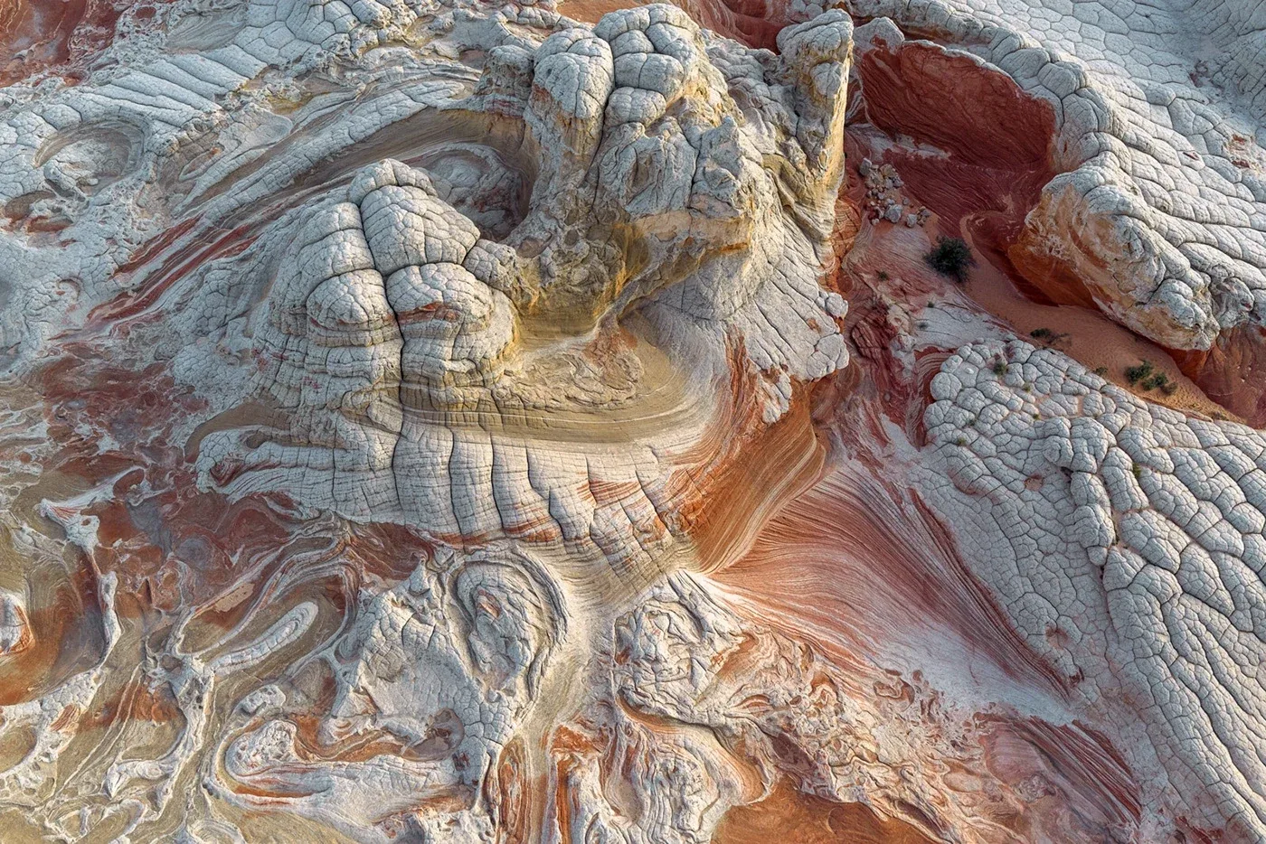 Behance 设计精选 | WHITE POCKET — Arizona, USA-多模态AI