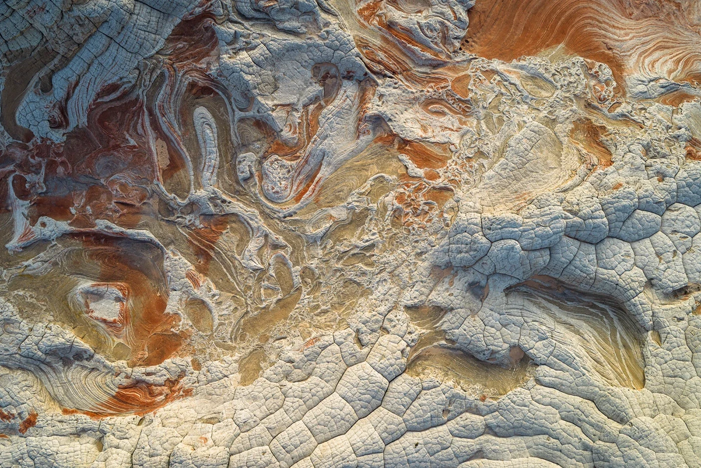Behance 设计精选 | WHITE POCKET — Arizona, USA-多模态AI