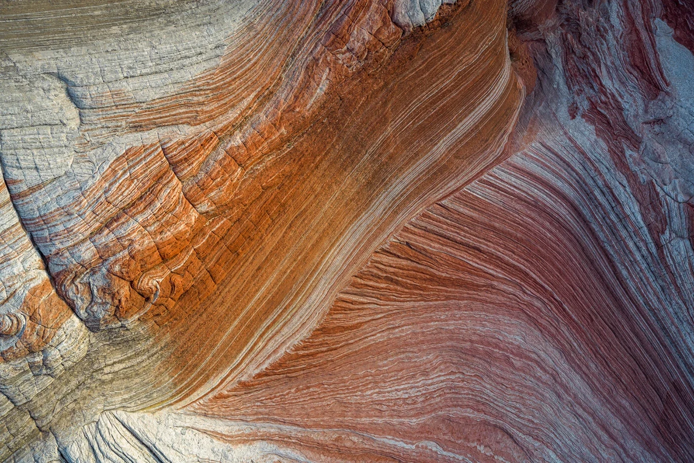 Behance 设计精选 | WHITE POCKET — Arizona, USA-多模态AI