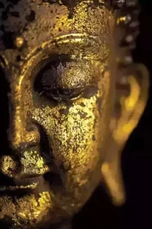 Pinterest 设计灵感 | 金铜佛像是用铜或者青铜铸造,表面鎏金的佛像,是佛教造像艺术之一。汉传和藏传是其两大支柱: 汉传主要接受的是印度显教流行期的犍…
