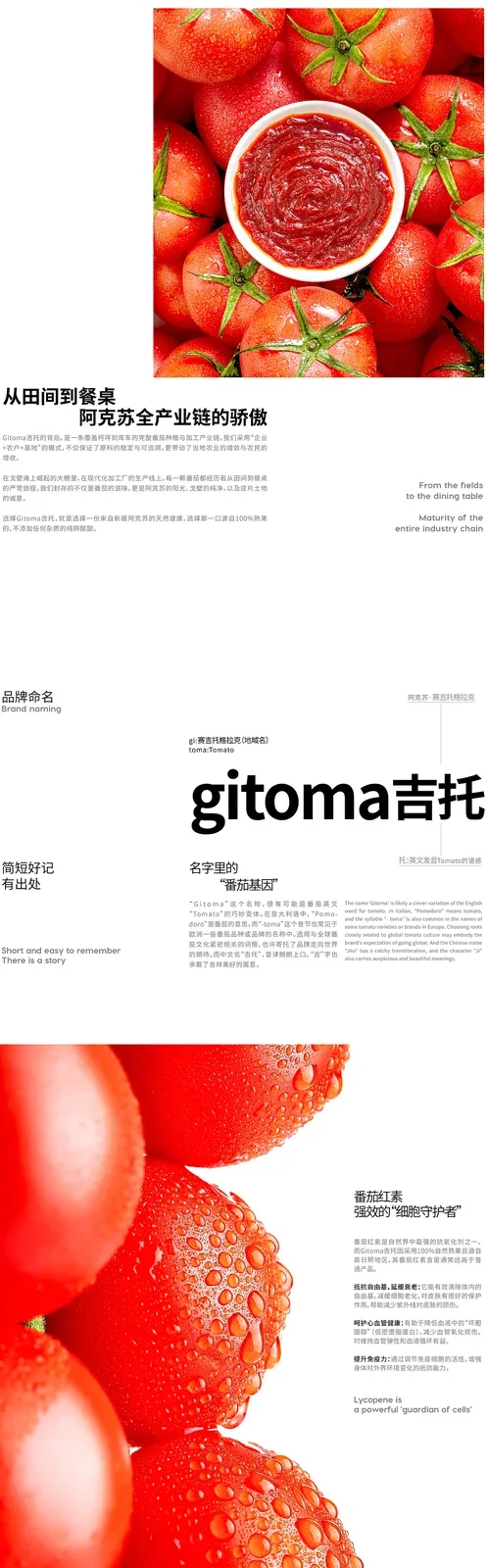 站酷设计精选 | Gitoma番茄酱 | 品牌设计 IP设计 包装设计 LOGO/VI-多模态AI