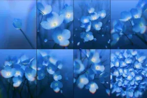 站酷设计精选 | 数字花卉实验室 — Vol.00–04