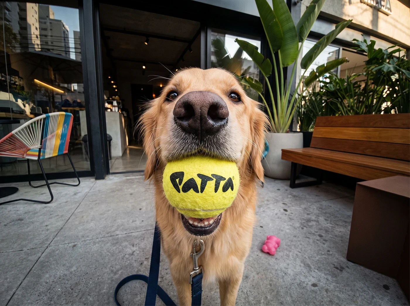 Behance 设计精选 | PATTA-多模态AI