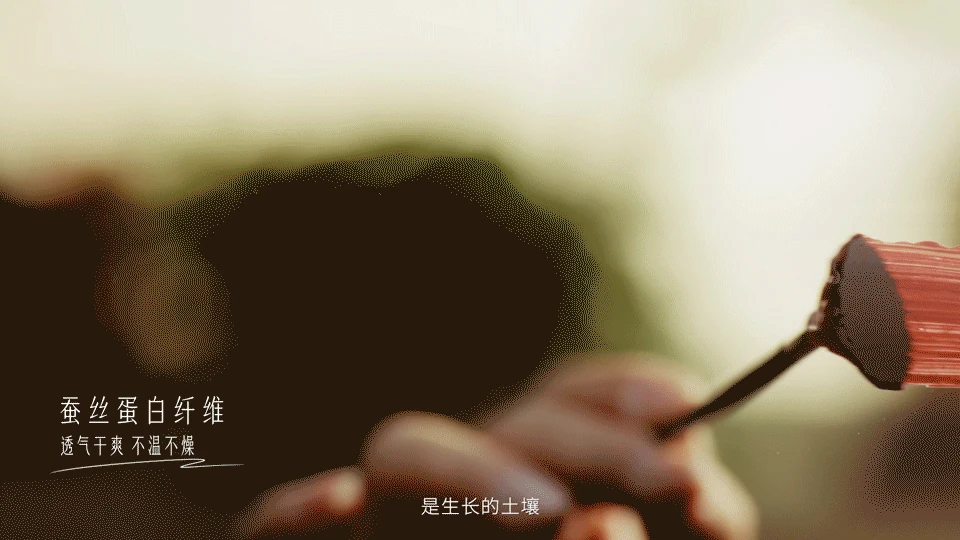 站酷设计精选 | DeRUCCI | 慕思 | 春节新品发布视频-多模态AI