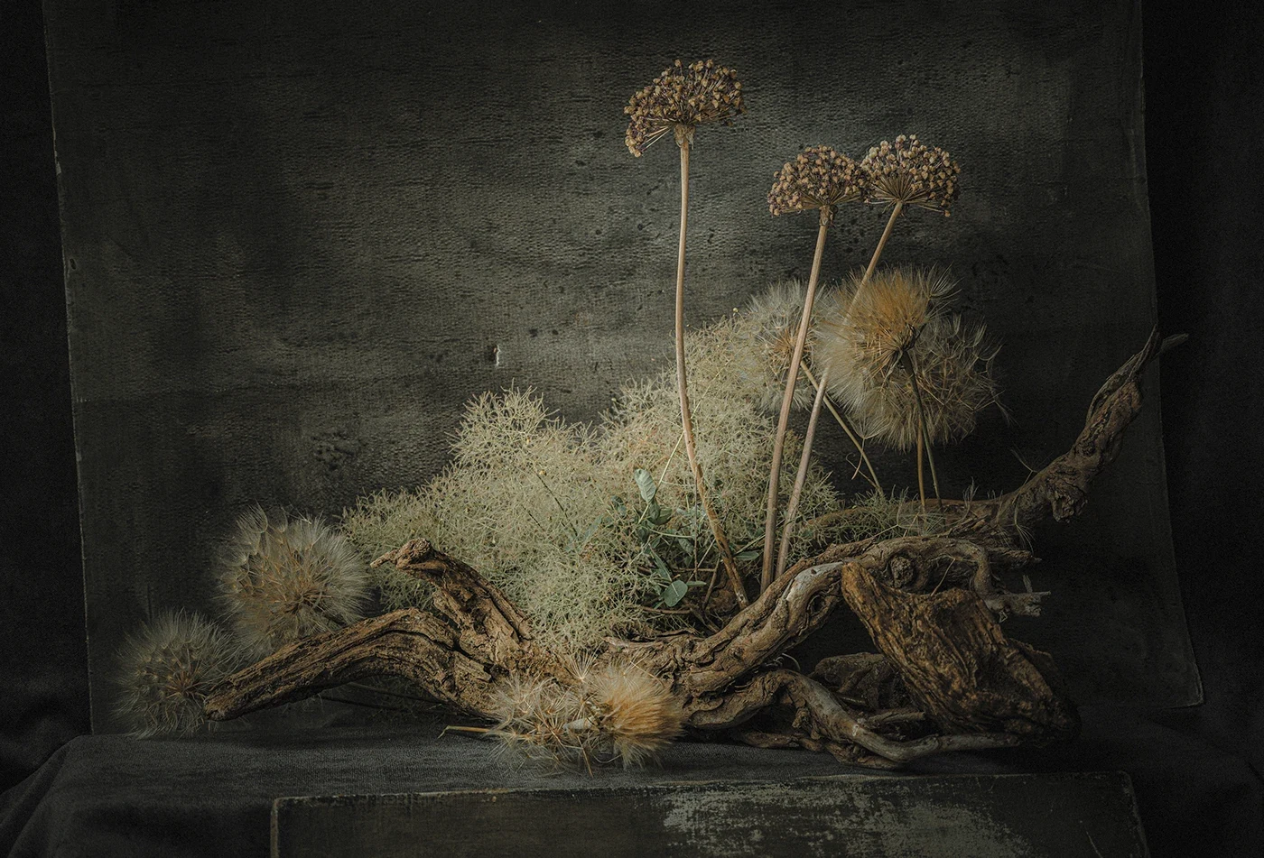 Behance 设计精选 | Volatile seeds and roots of unusual beauty-多模态AI