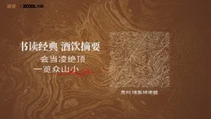 站酷设计精选 | 摘要「珍品版」