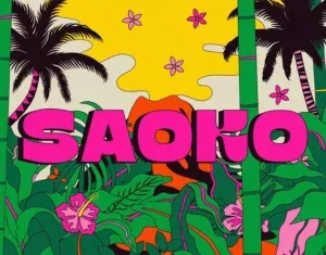 Behance 设计精选 | SAOKO