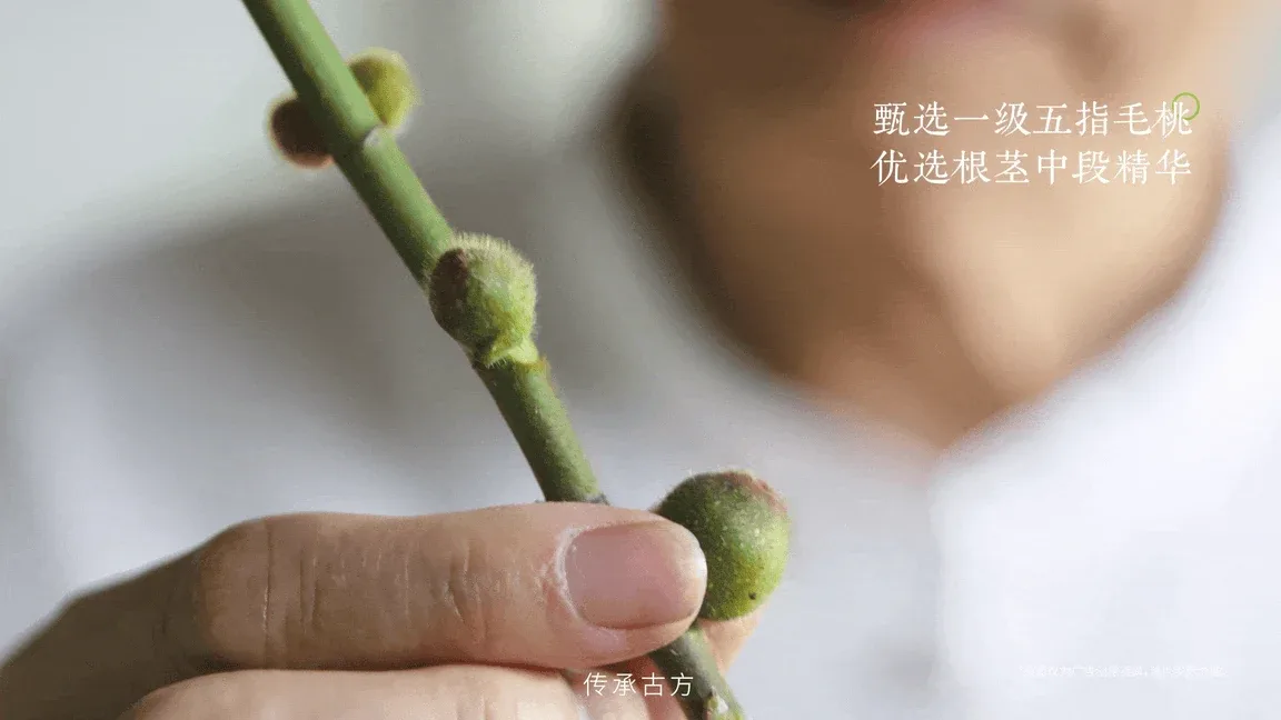 站酷设计精选 | 五谷磨房 | 三伏养生主题TVC如何打造温润中式氛围感-多模态AI