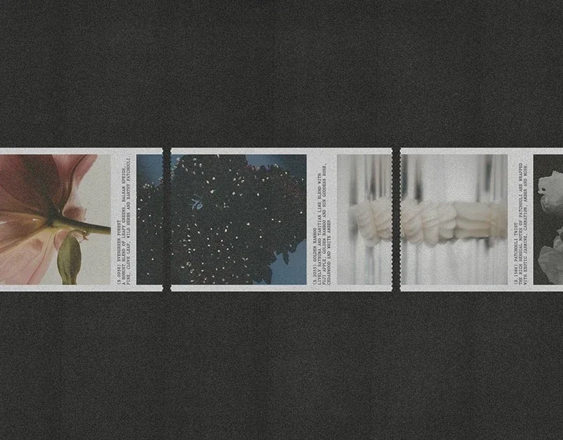Behance 设计精选 | Uniscent – Visual Identity-多模态AI