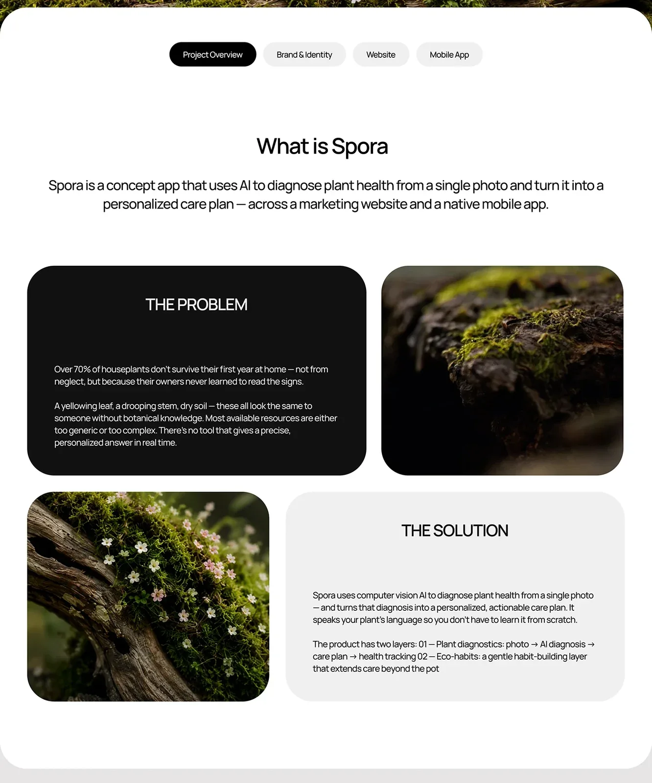 Behance 设计精选 | Spora — AI Plant Care Platform-多模态AI