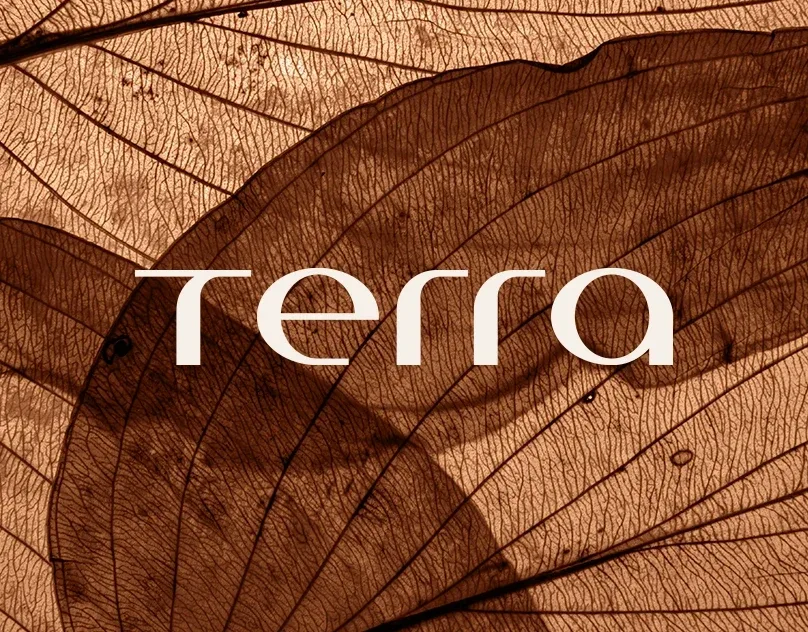 Behance 设计精选 | Grupo Terra-多模态AI