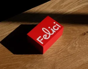 Behance 设计精选 | Felici