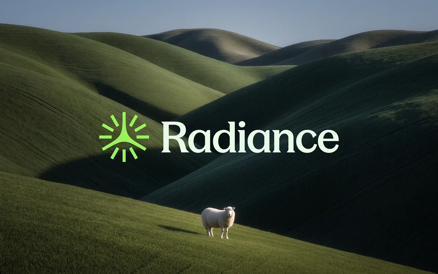 Behance 设计精选 | Radiance-多模态AI