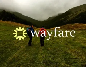 Behance 设计精选 | Wayfare Brand Identity Travel Agency