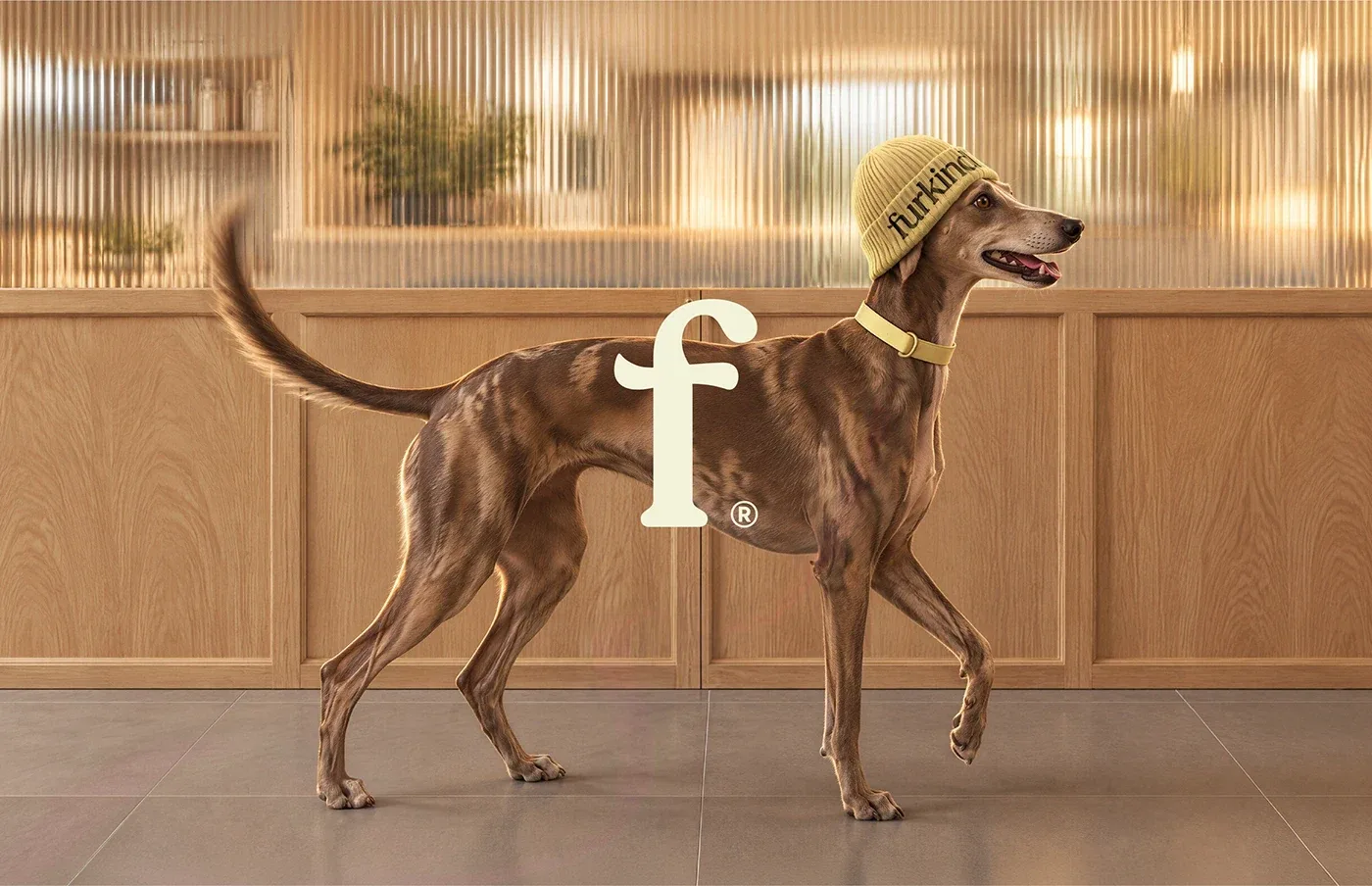 Behance 设计精选 | Furkind Vet Clinic-多模态AI