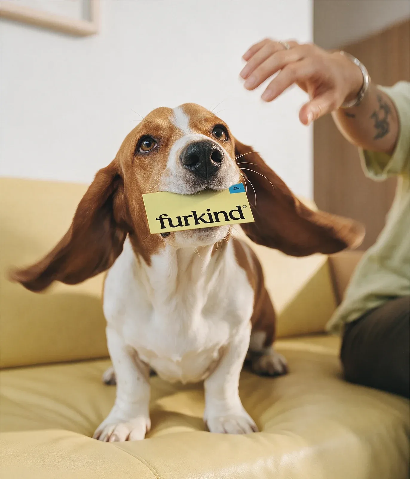 Behance 设计精选 | Furkind Vet Clinic-多模态AI