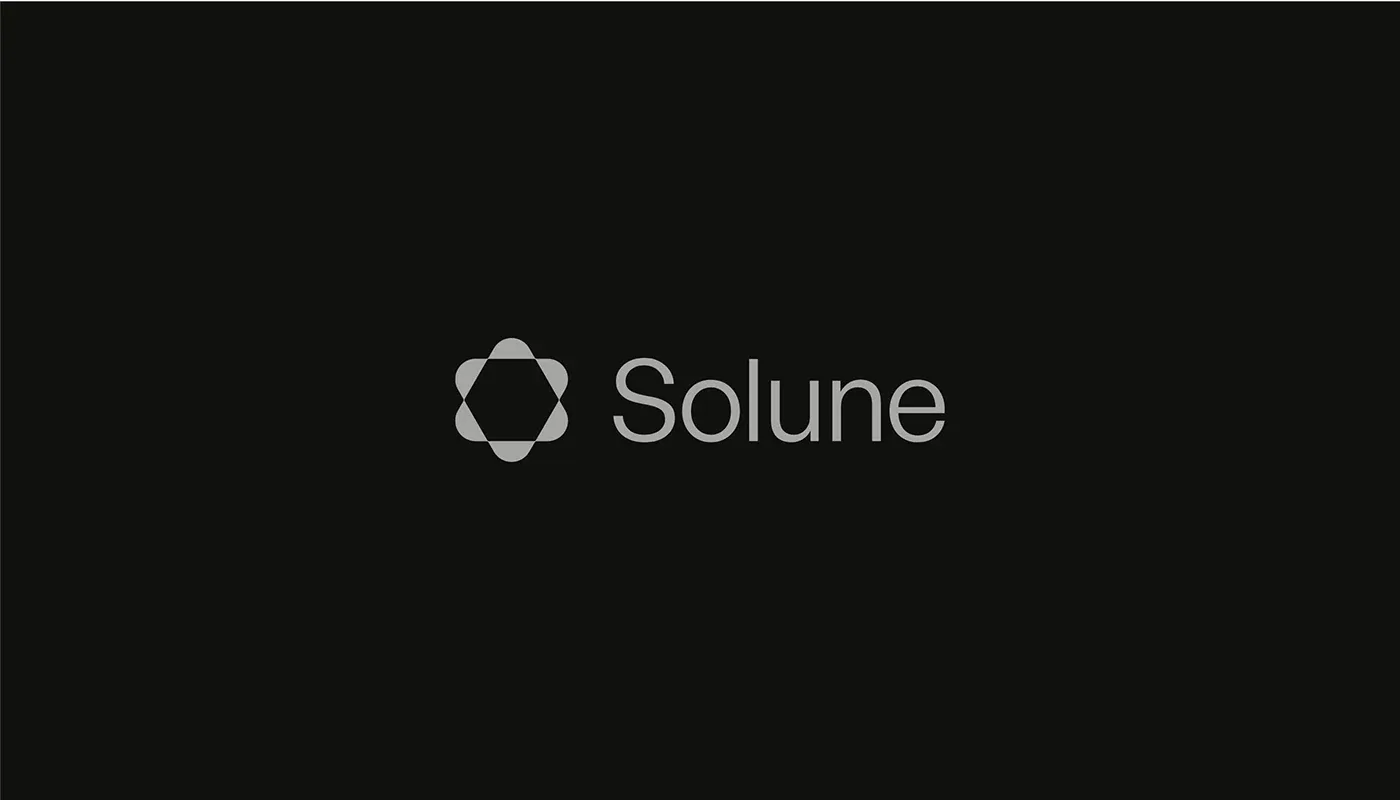 Behance 设计精选 | Solune — Brand Identity Design-多模态AI