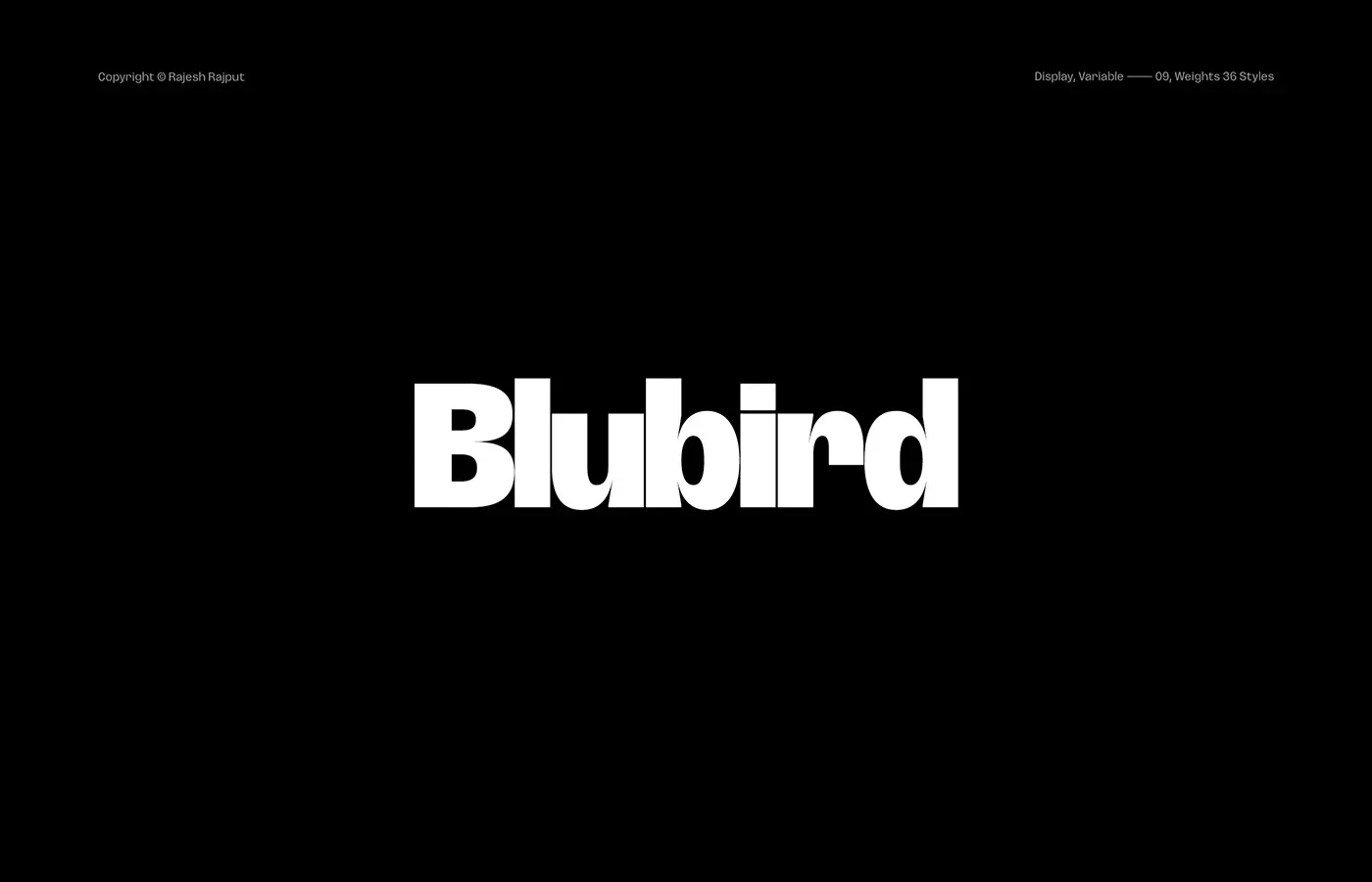 Behance 设计精选 | Blubird Typeface / 36 Weights / Variable-多模态AI