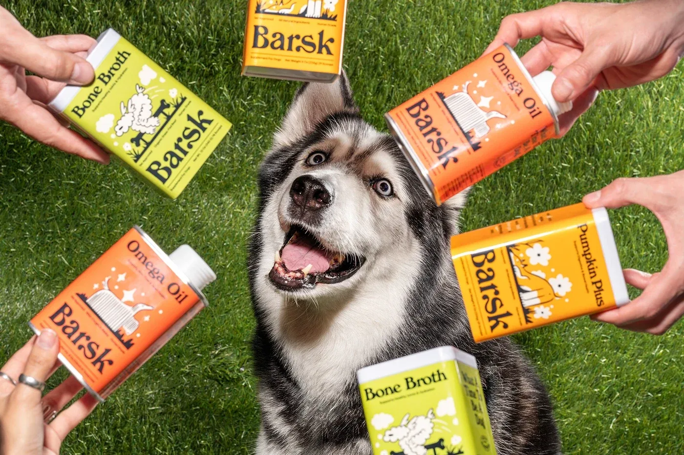 Behance 设计精选 | Barsk-多模态AI