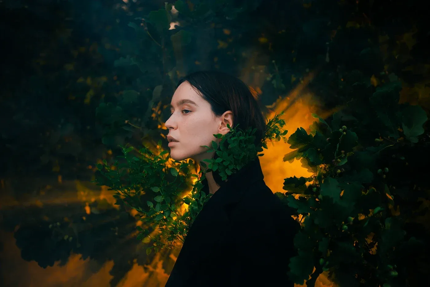 Behance 设计精选 | Among the rocks and roots-多模态AI