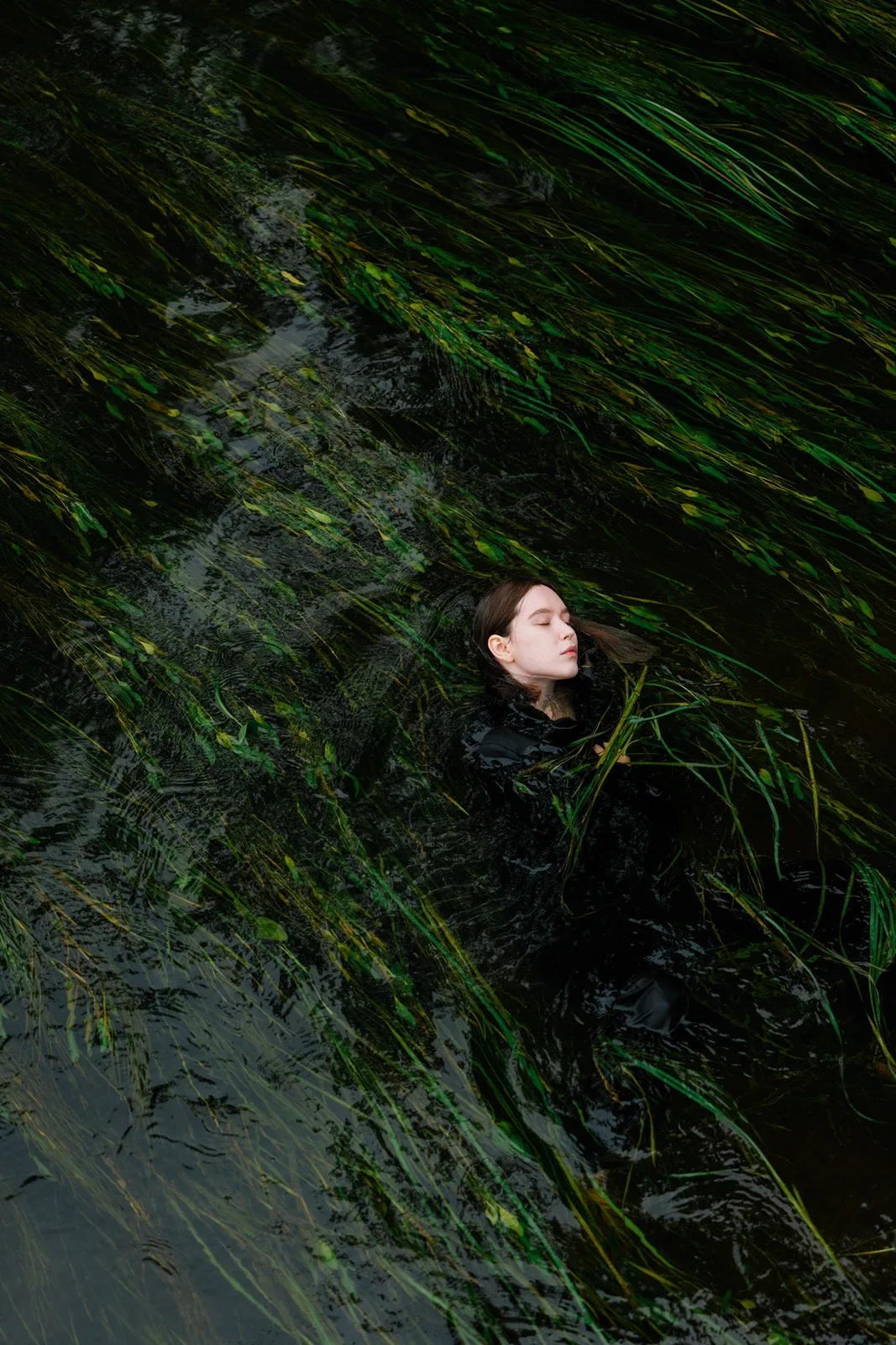 Behance 设计精选 | Among the rocks and roots-多模态AI