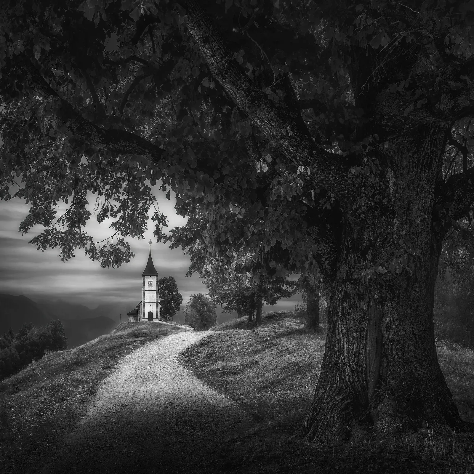 Behance 设计精选 | The Poetry of Shadows-多模态AI